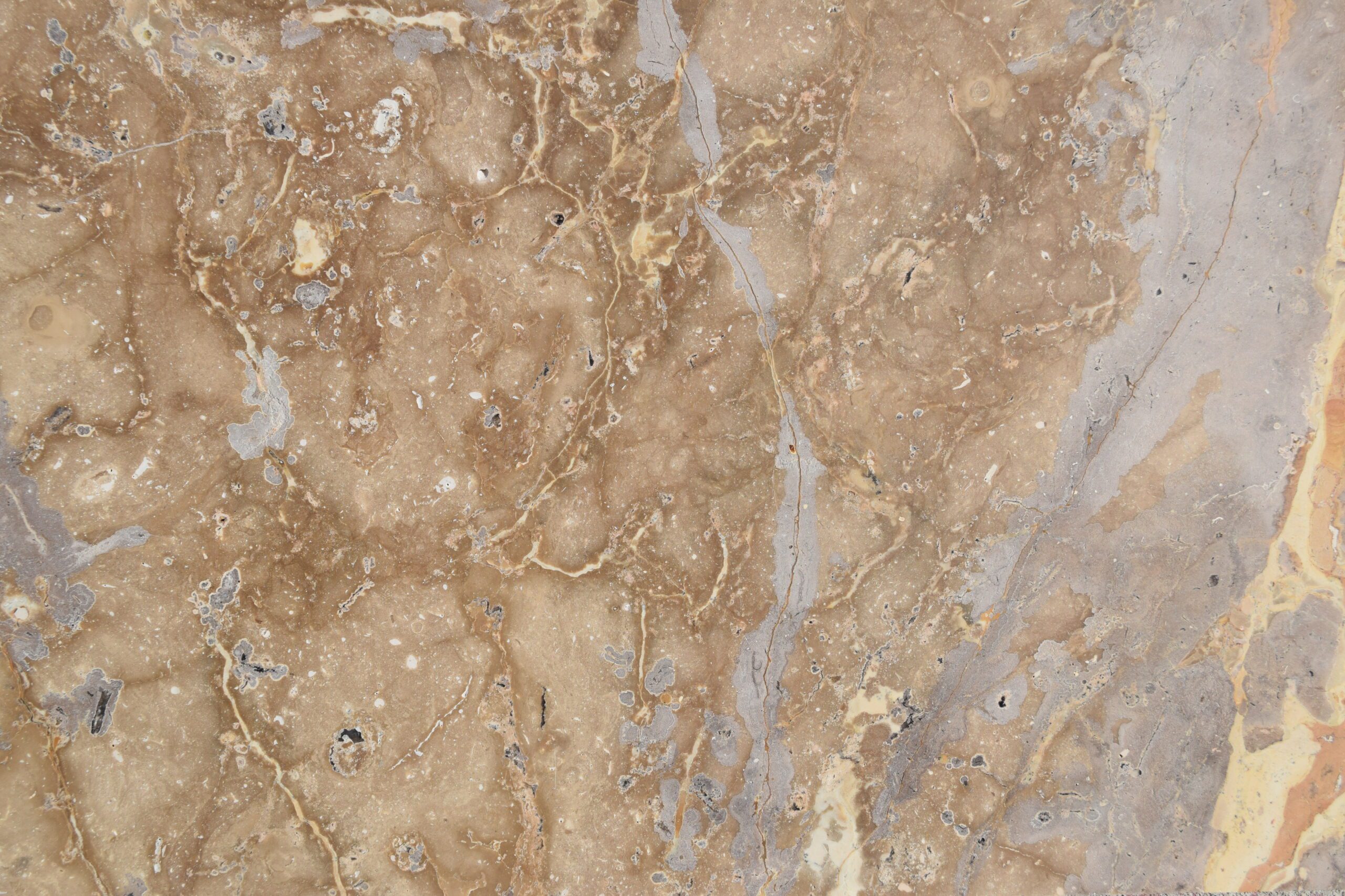 Polished natural stone tile in Browny