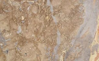 Honed natural stone tile in Browny
