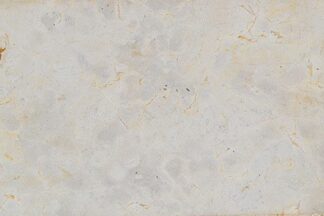 Sandblasted natural stone veneer panel in Sand Beige