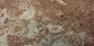 Honed natural stone tile in Creamy Chocolate