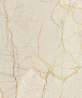 Bianco Lupo natural stone slab