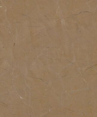 Black Galaxy natural stone slab
