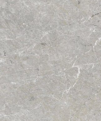 Golden Spider natural stone slab