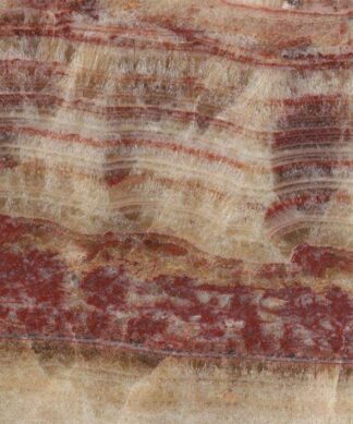 Onyx Fantastico Cc natural stone slab